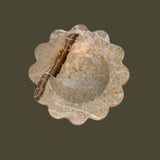 Mini Sun Scoop (Rare Earth)