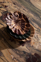 Shell Catch