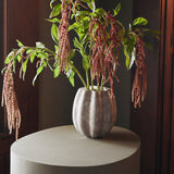 Tulip Vase in Oyster (Alessandra Codinha for Anastasio Home)