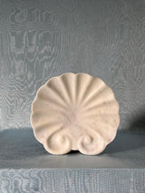 Shell Catch