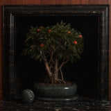 Grace Bonsai Planter in Emerald (Grace Fuller Marroquin for Anastasio Home)