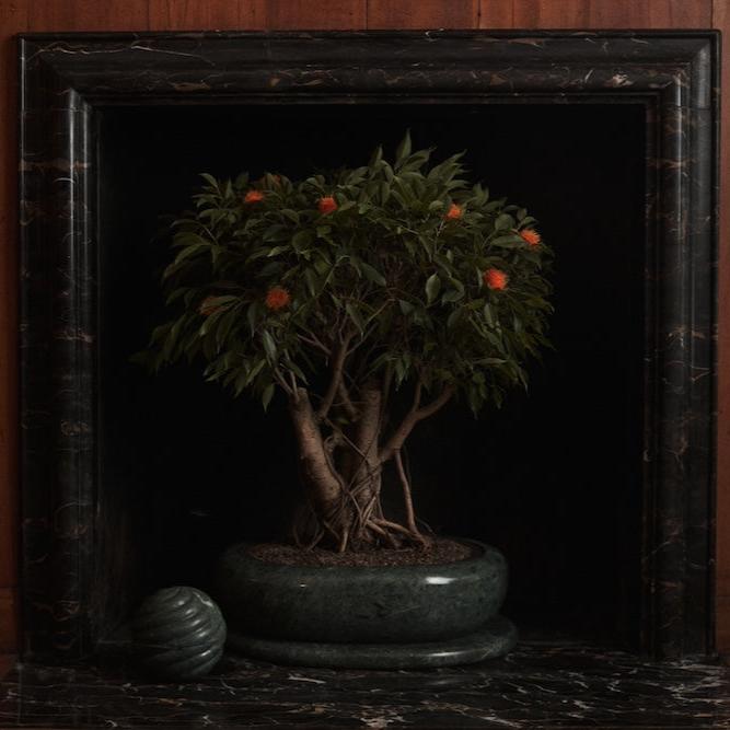 Grace Bonsai Planter in Emerald