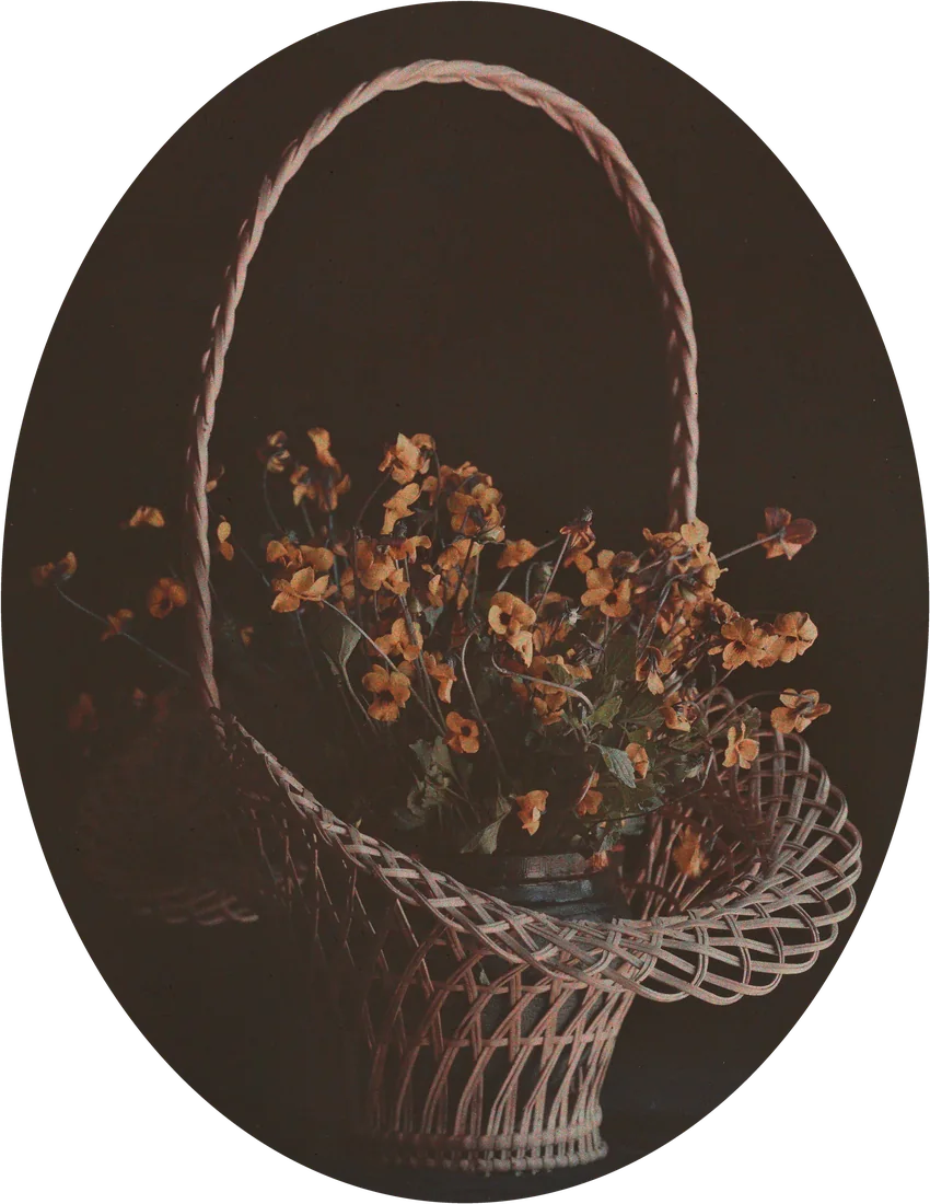 An autochrome of a wicker basket of orange flowers, in its oval slide mask