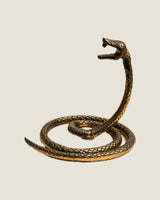 Brass Cobra