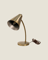 Brass Gooseneck Lamp