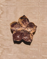 Fiore Buttercup Mini Dish