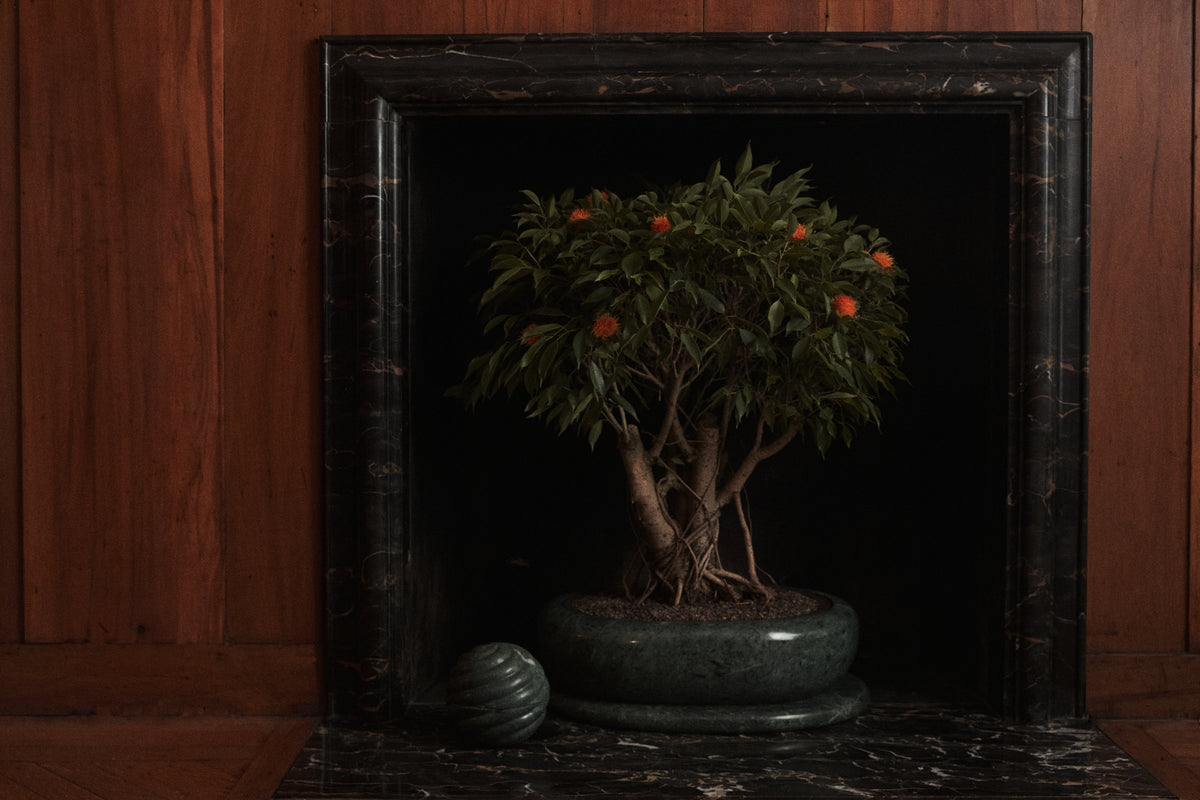 A green marble planter holding a flowering tree, set inside a black marble fireplace in a wood-paneled room